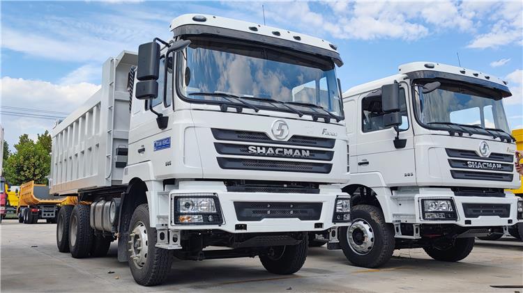 Shacman F3000 10 Wheeler Dump Truck for Sale In Uganda