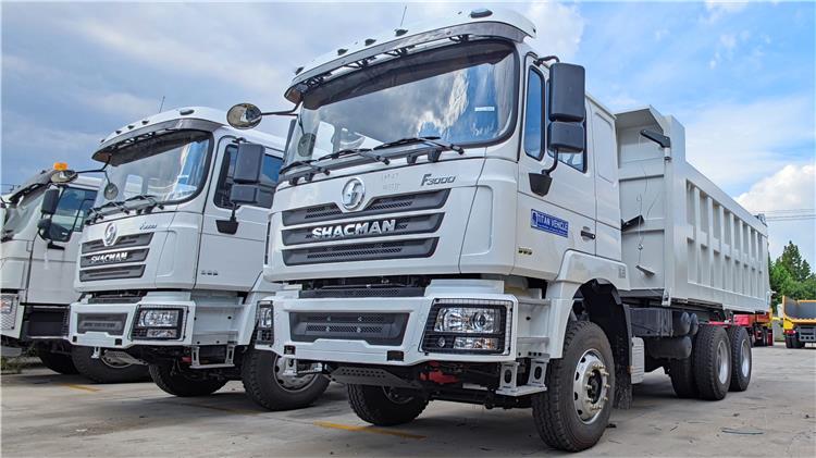 Shacman F3000 10 Wheeler Dump Truck for Sale In Uganda